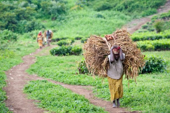 Congo, Dem. Republic