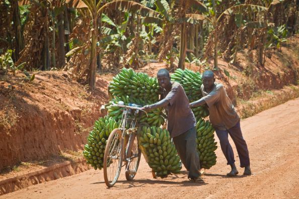 Rwanda