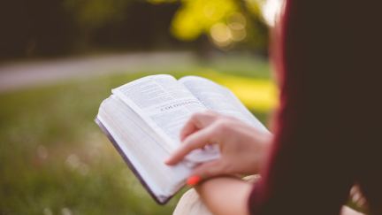 CruPress Presents: 5 Key Bible Study Ingredients
