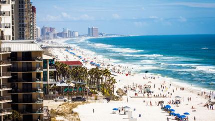 Summer Survival Guide