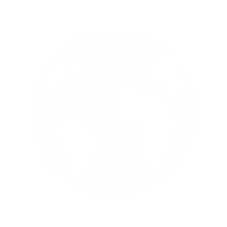 icon_See-the-World