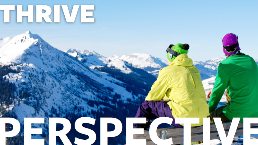 Perspective – Leader's Guide