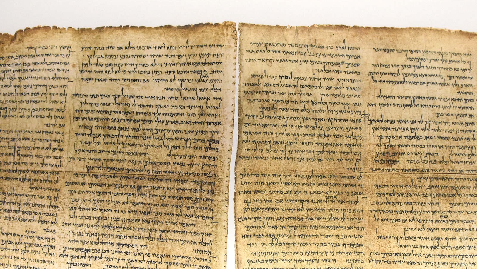 How Did We Get the New Testament?