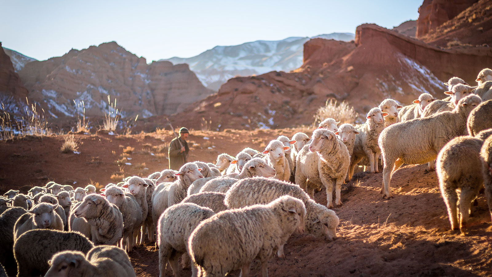 How to Make Sense of the Old Testament