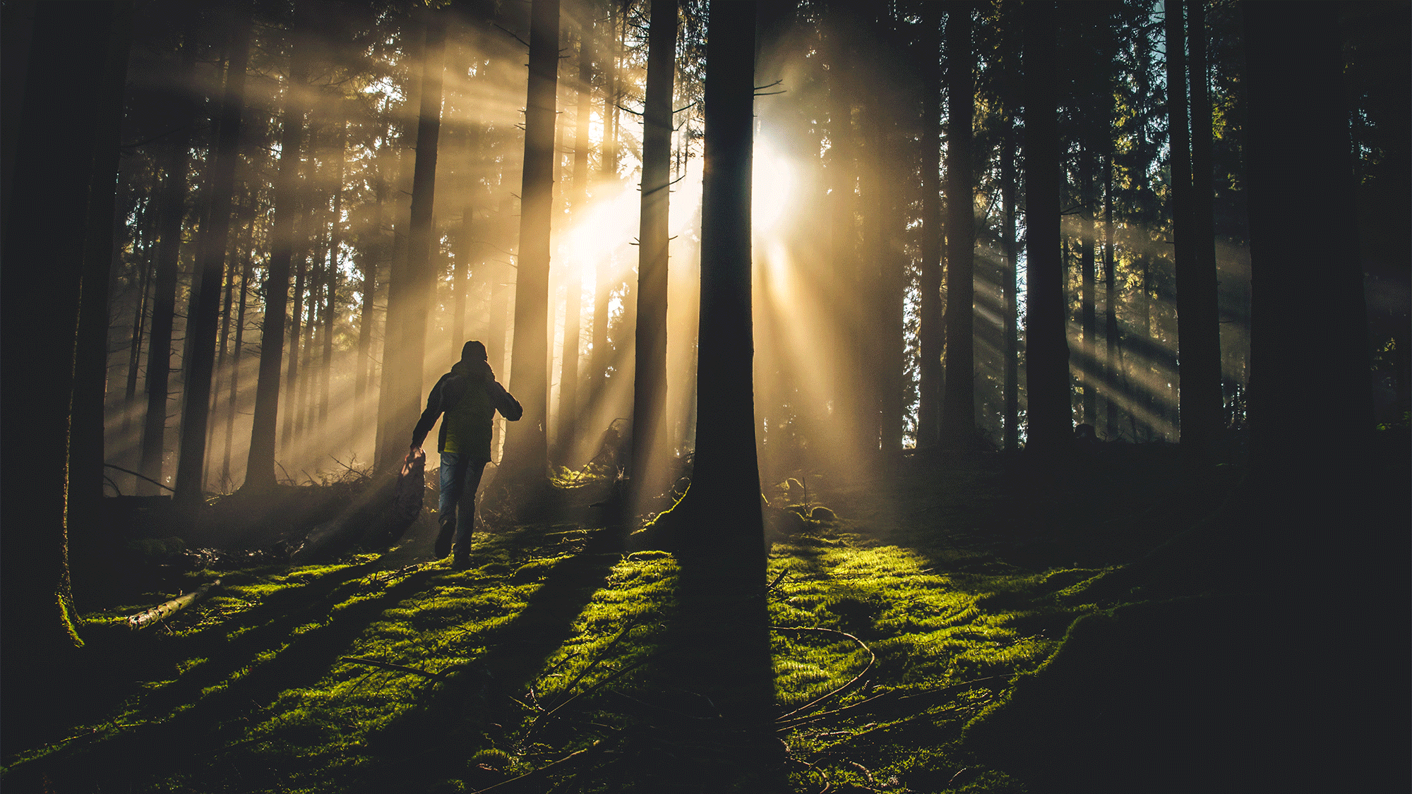 Is God’s Love What You Need to Change Your Life?