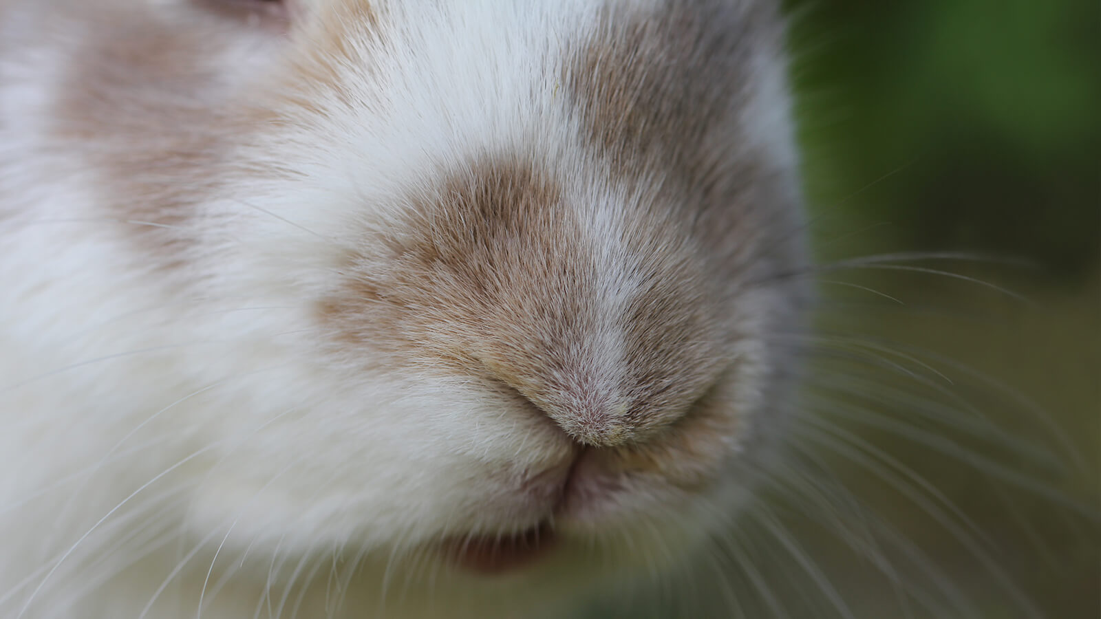 Experiencing Easter Through Your 5 Senses Cru Experiencing Easter Through Your 5 Senses Cru