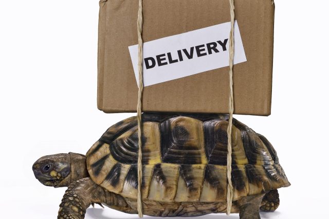 Delivery box on turtle