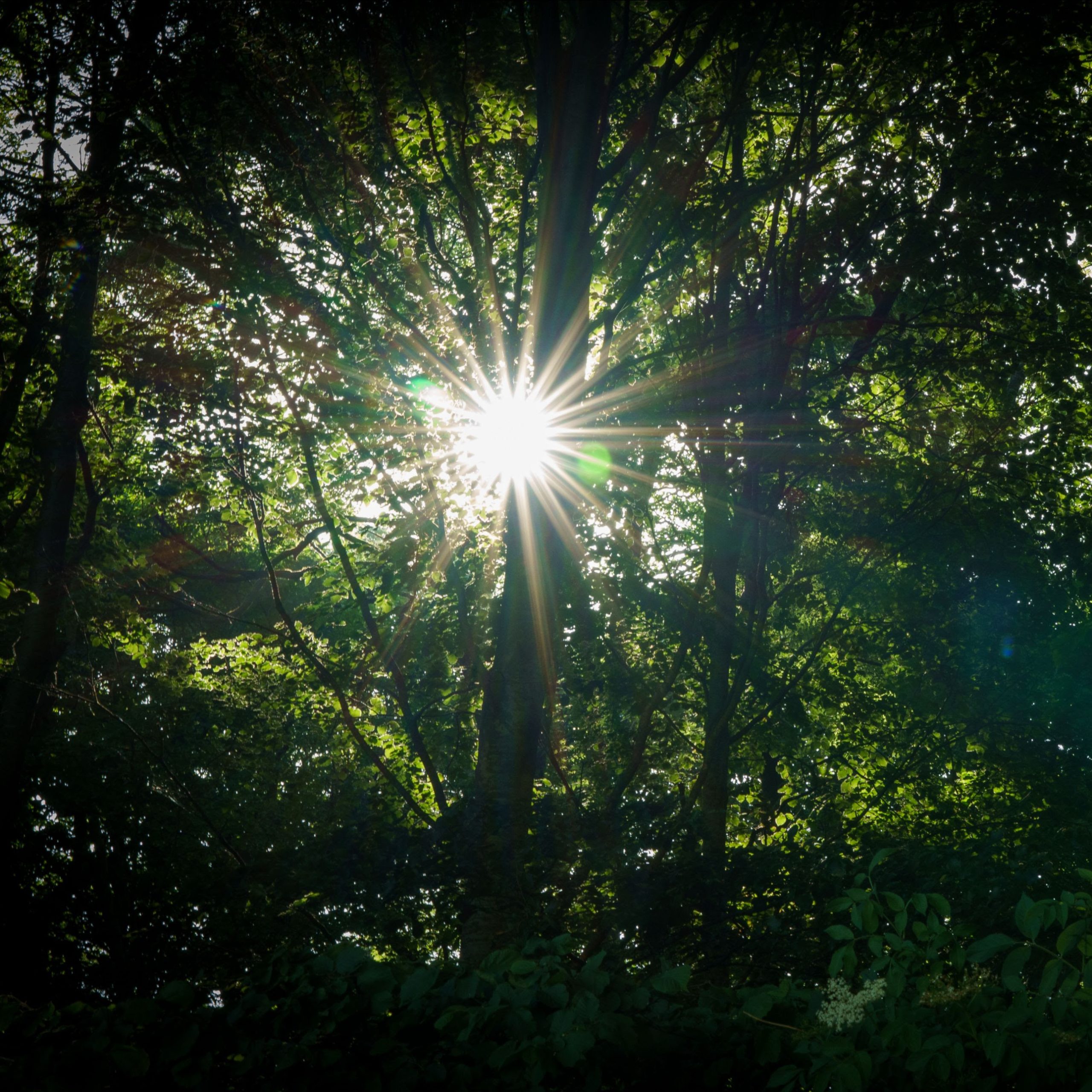 beaming with light meaning
