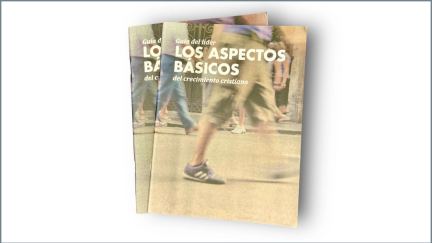 Los Aspectos Básicos