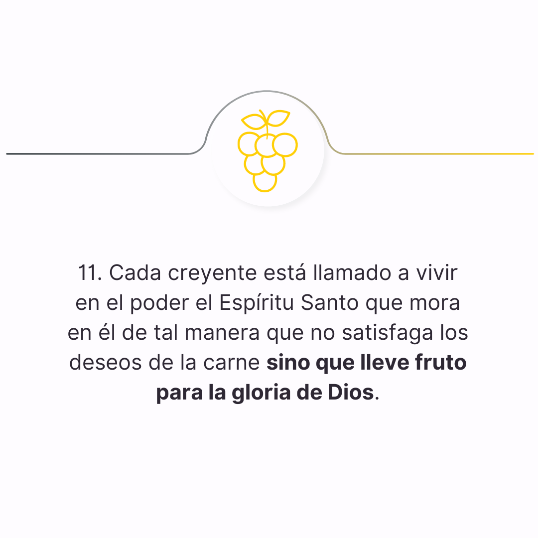 declaracion 11