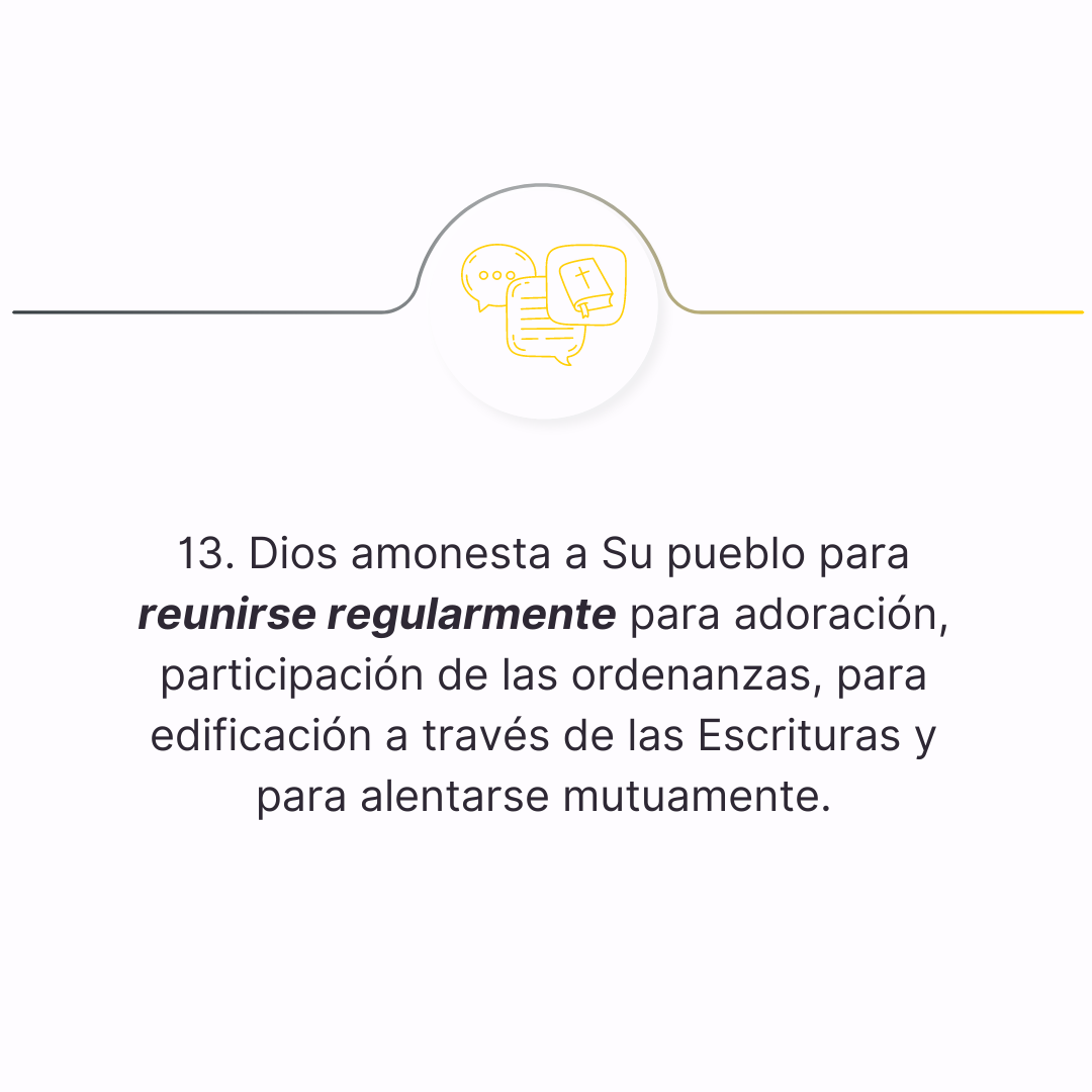 declaracion 13