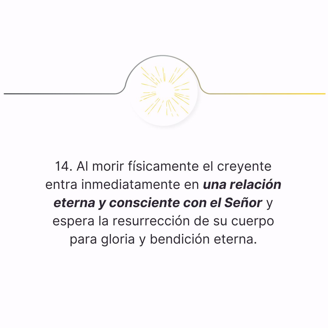 declaracion 14