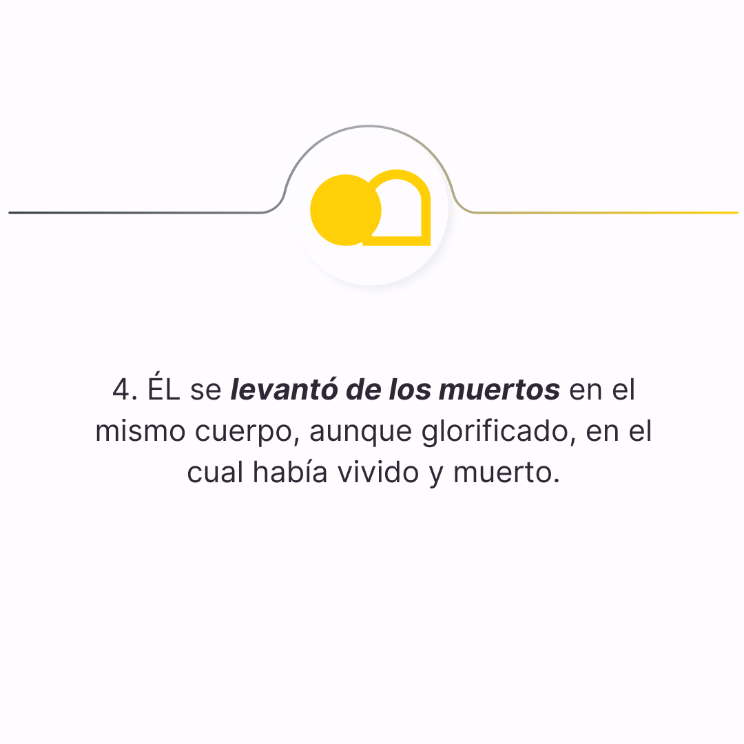 declaracion 4