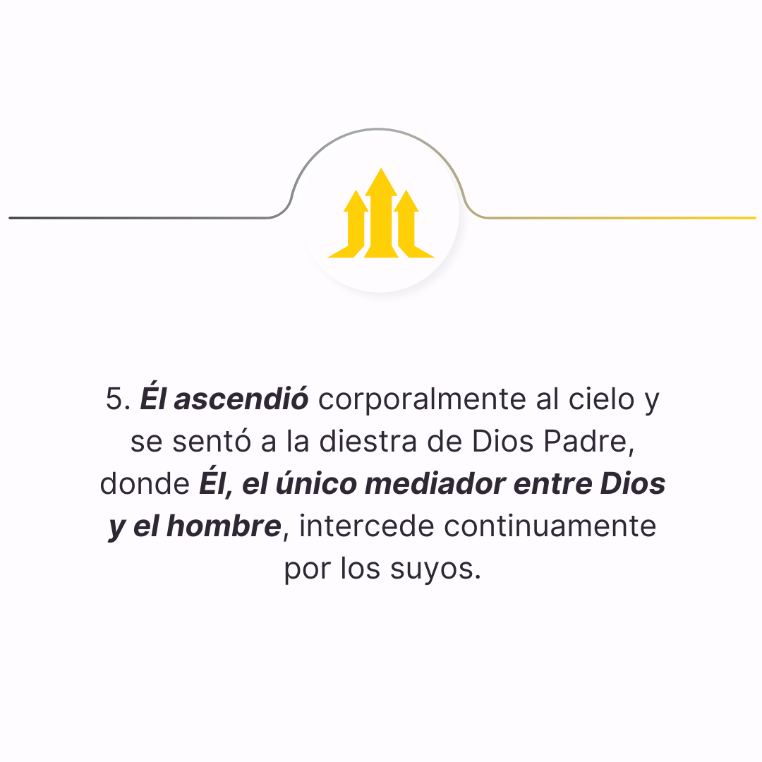 declaracion 5