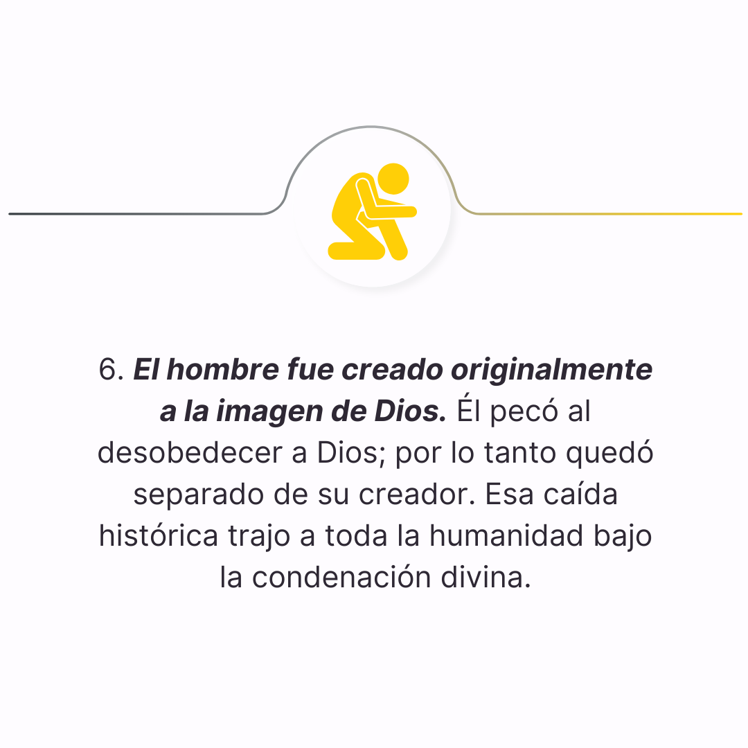 declaracion 6