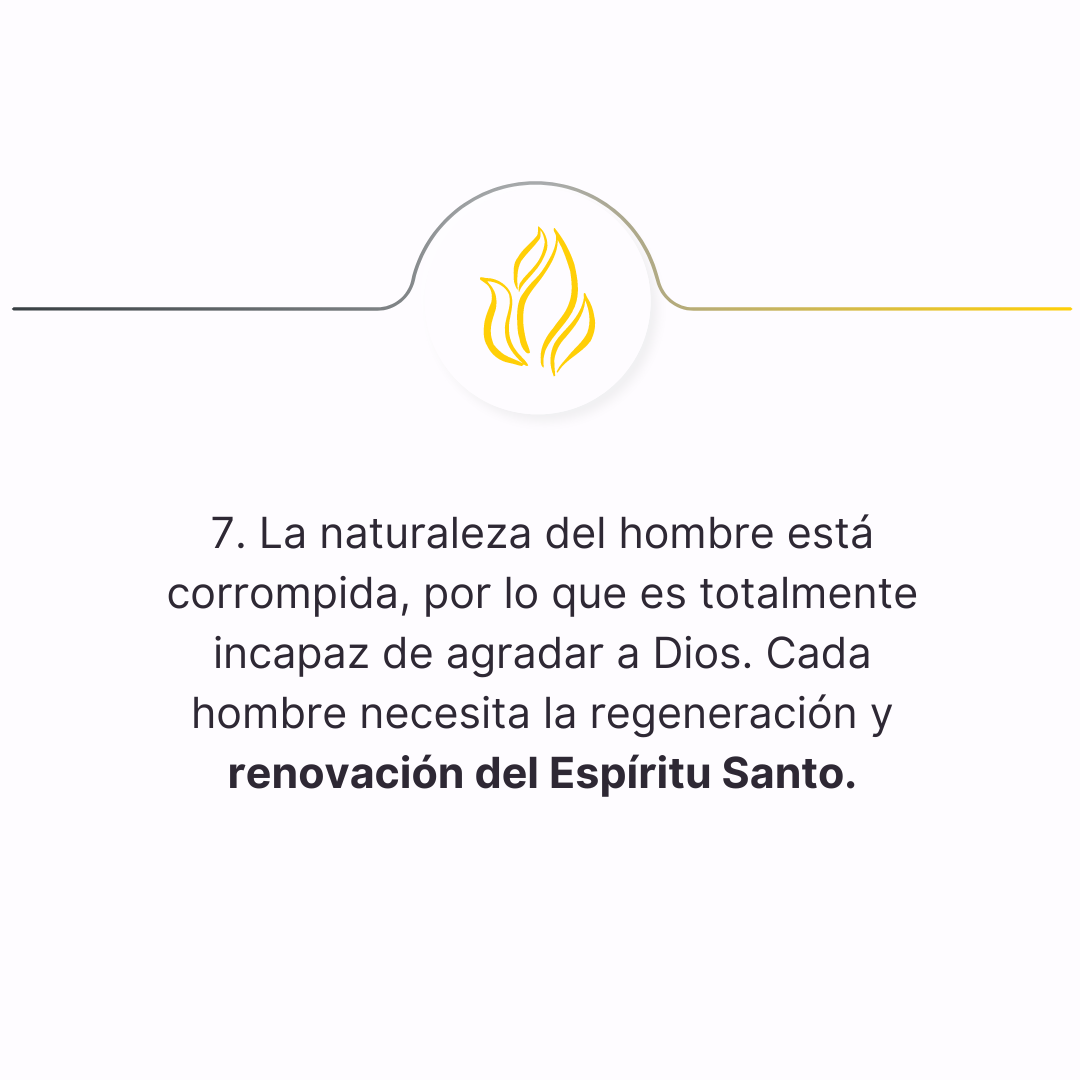 declaracion 7