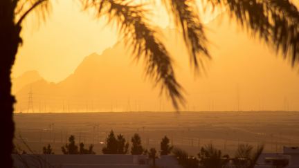 Ripple Effect in the Middle East