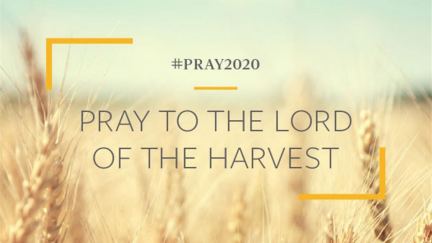 How to pray for the future