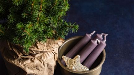 It’s Advent and This is What We’re Waiting For