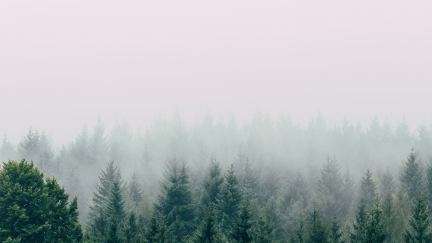 God to The Rescue: Christmas Is Just the Beginning