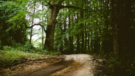 Does Nature Make You Pray?