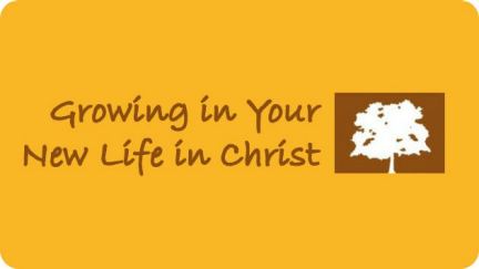 4. Growing in Your New Life in Christ