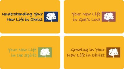Your New Life in Christ