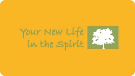 3. Your New Life in the Spirit