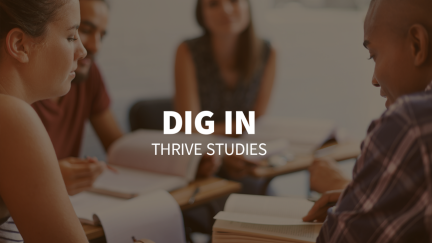 Study 4 – Dig In
